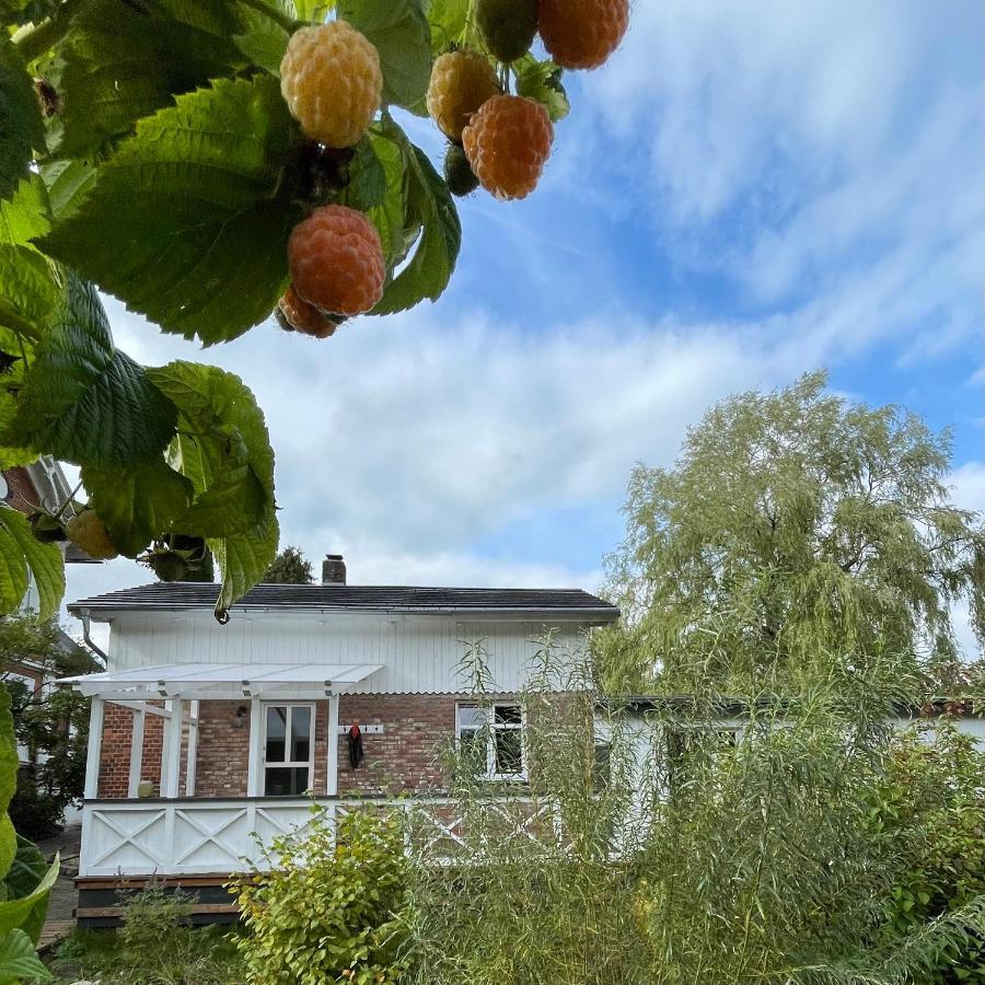 Leben Am See Hemmoor ภายนอก รูปภาพ